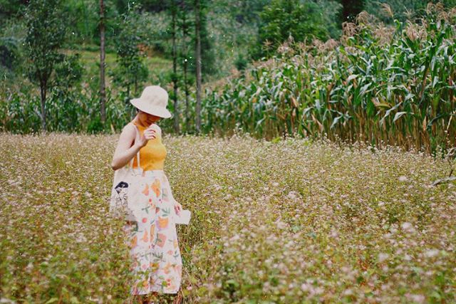 Sủng Là được xem là địa điểm ngắm hoa lý tưởng nhất tại Hà Giang