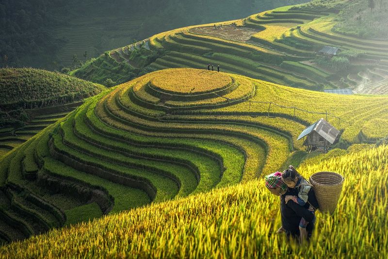 Du lịch Sapa vô cùng thú vị với cảnh quan đẹp mắt Du lịch Sapa vô cùng thú vị với cảnh quan đẹp mắt