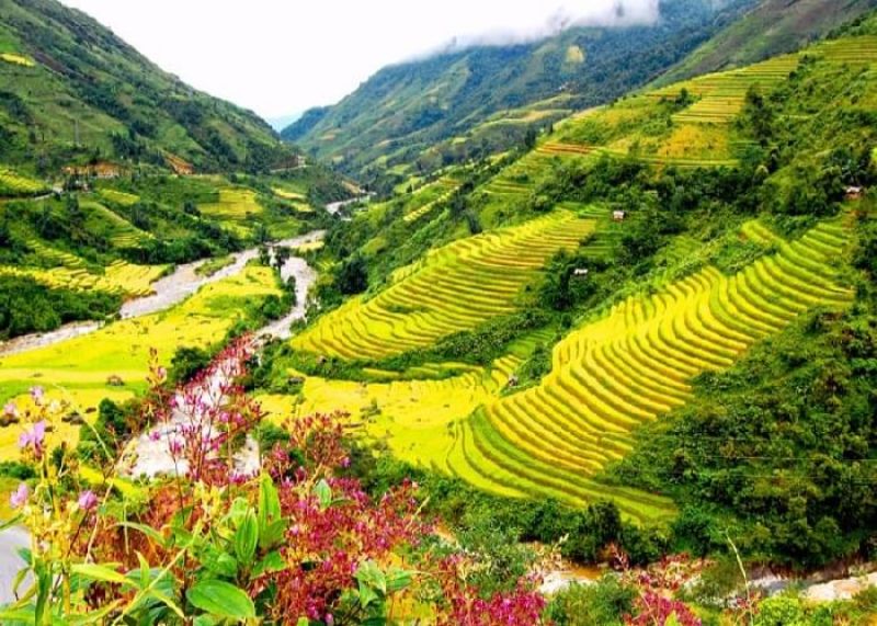 Sapa có vẻ đẹp hoang sơ rất đặc trưng của vùng núi phía Bắc