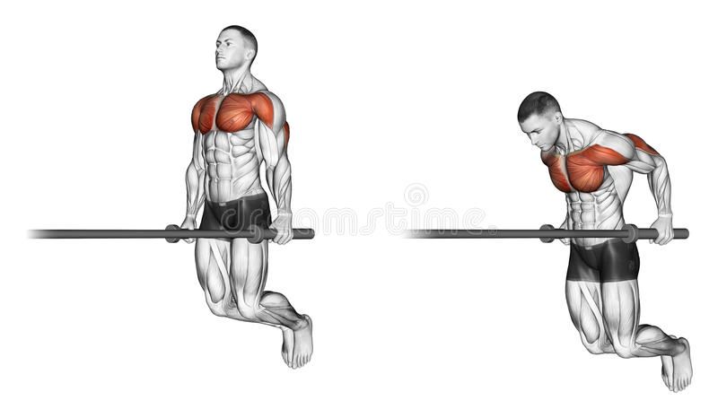 Dips for Chest