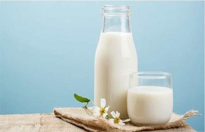 Lợi ích của sữa cho gymer