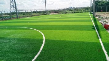 Cấu tạo mặt sân bóng đá cỏ tự nhiên bằng lá gừng